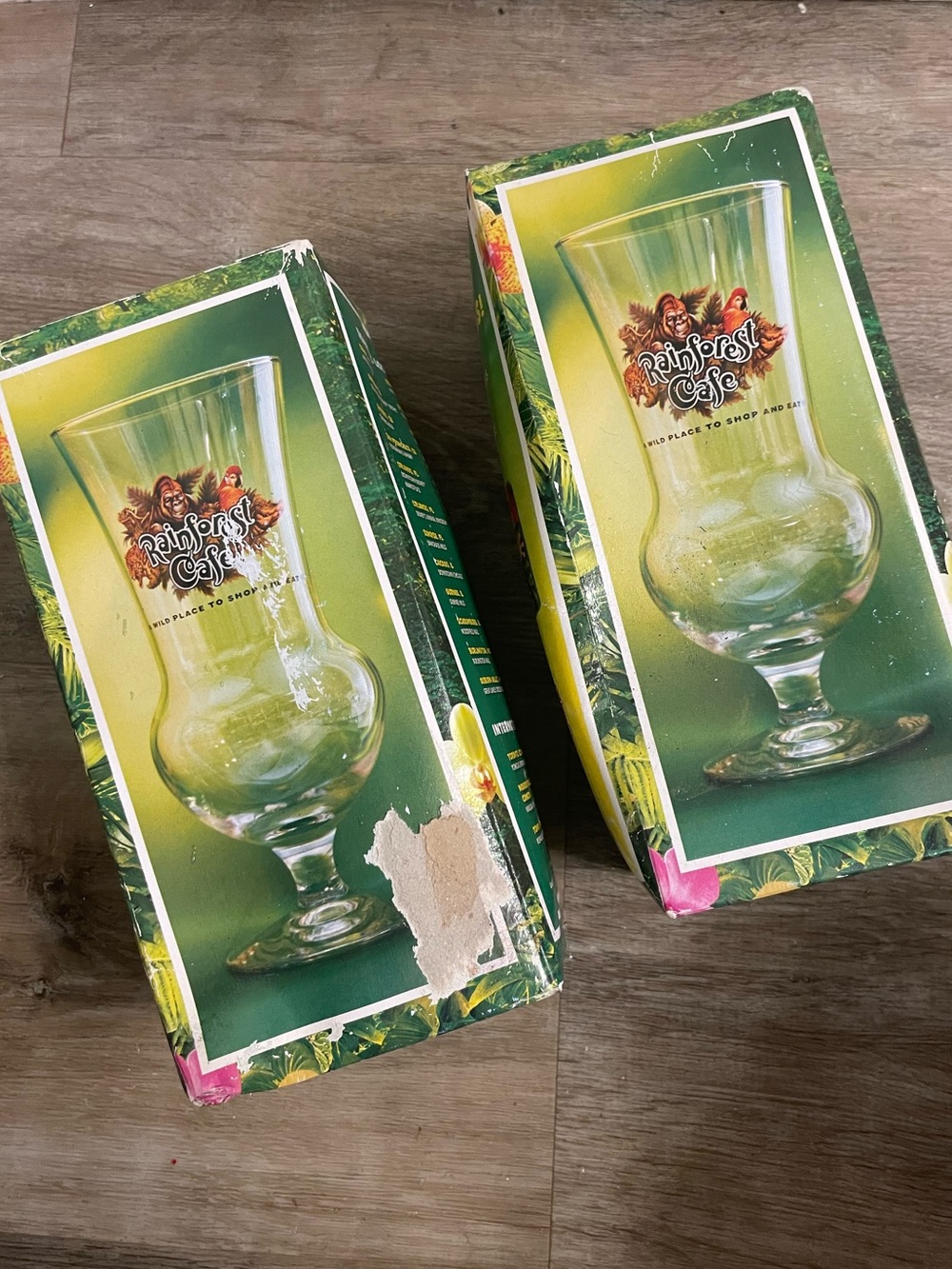RAINFOREST Cafe Aneheim Downtown Disney Hurricane Glass set of two